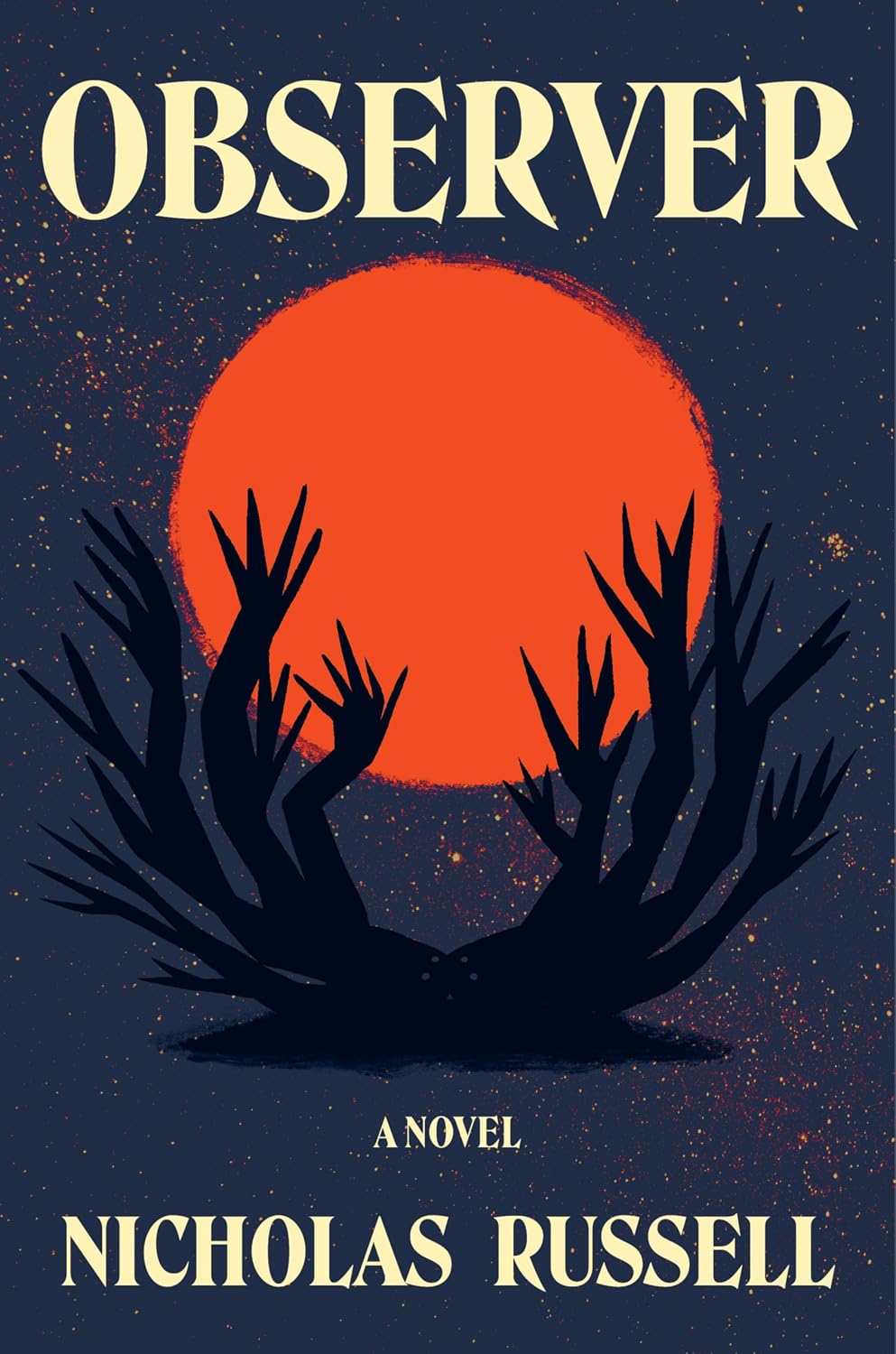 Observer // A Novel