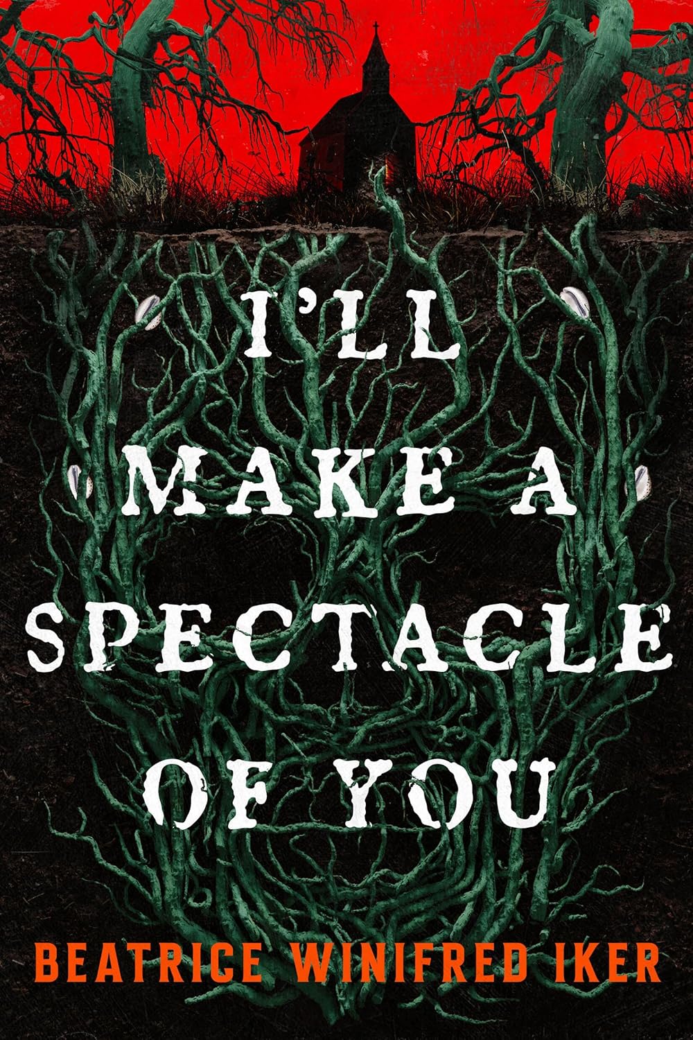 I'll Make a Spectacle of You // (Pre-Order, Nov 18 2025)