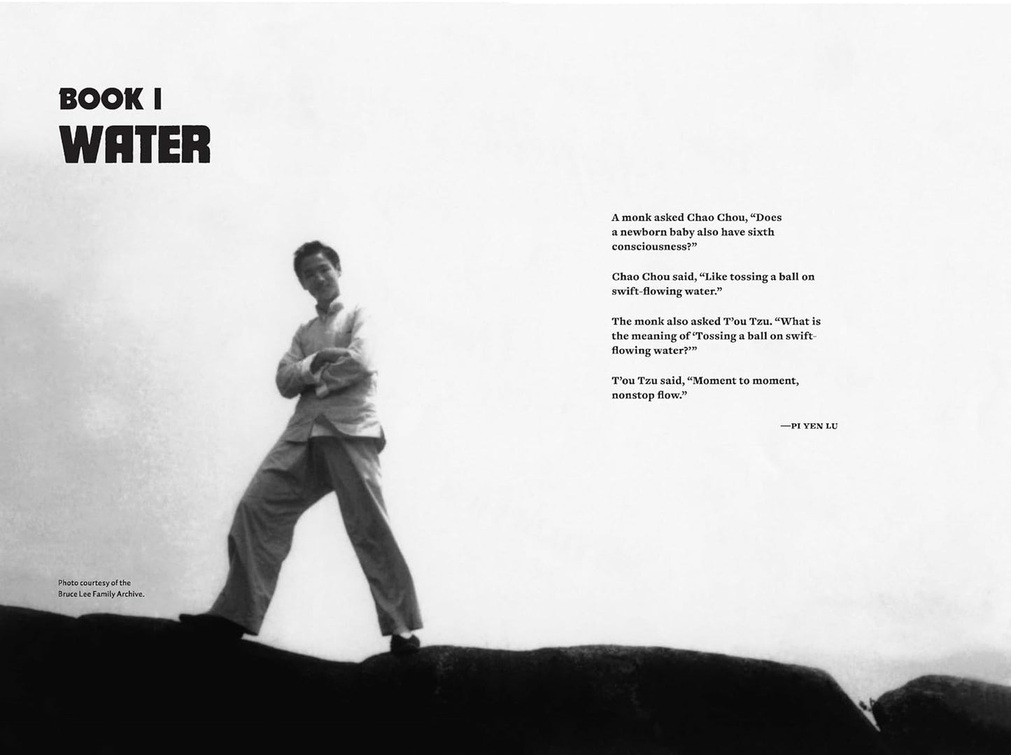Water Mirror Echo // (Pre-Order, Sep 23 2025)
