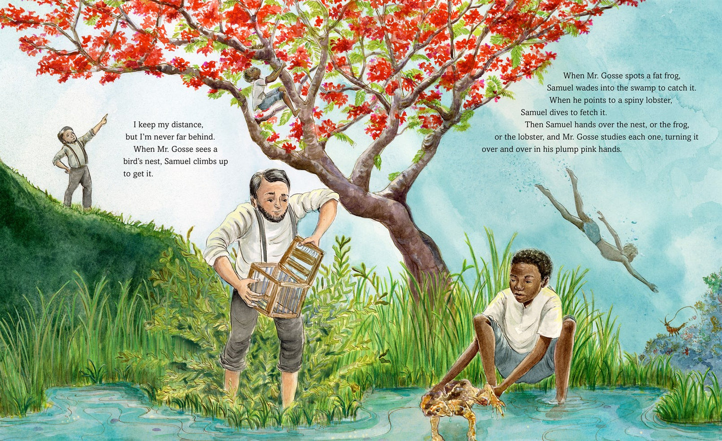 The Doctor Bird // The Expedition in Jamaica That Changed the Course of Natural History (Pre-order, April 27 2027)