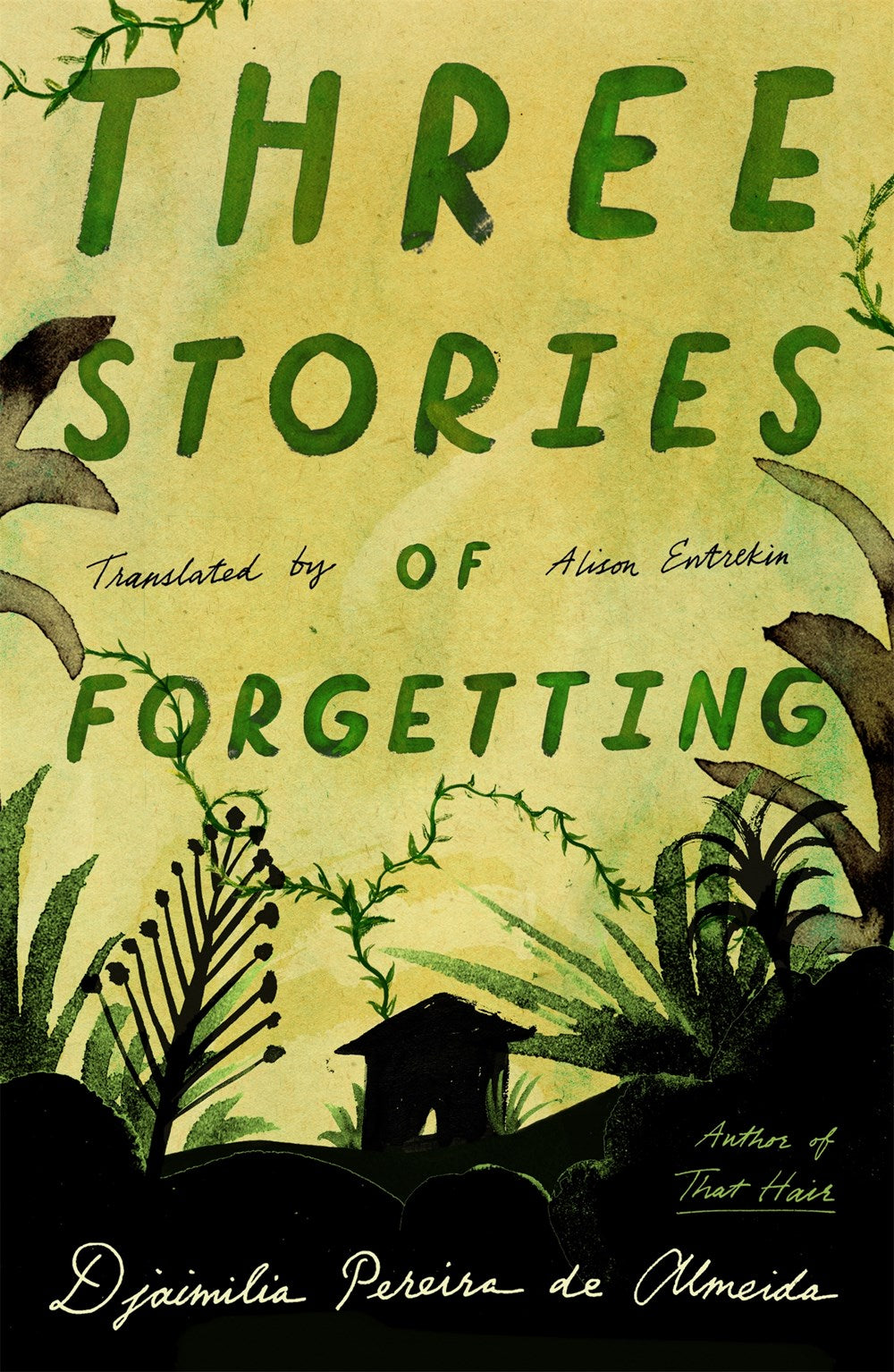 Three Stories of Forgetting (Pre-Order, Dec 9 2025)