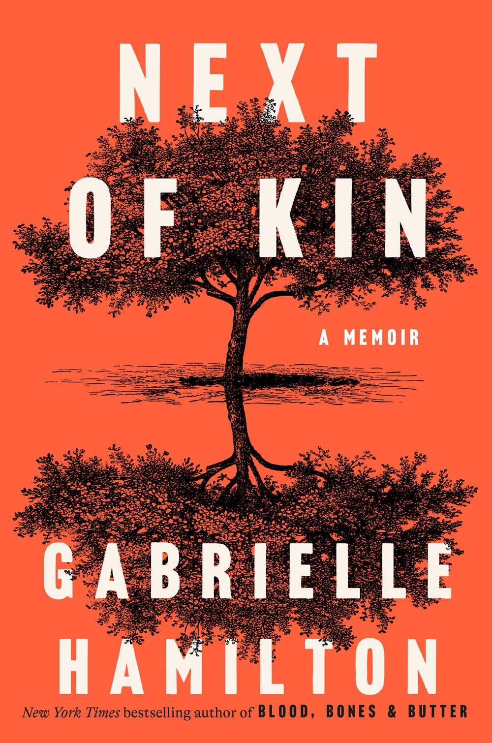 Next of Kin // A Memoir (Pre-Order, Oct 14 2025)
