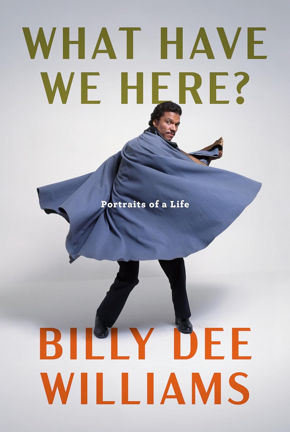 What Have We Here? // Portraits of a Life