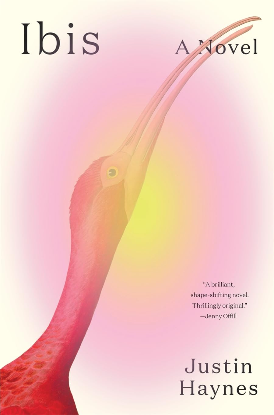 Ibis // A Novel