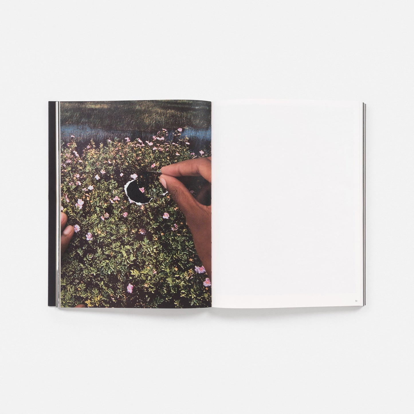 Dionne Lee // Currents