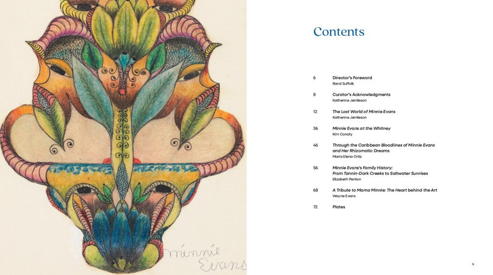 The Lost World // The Art of Minnie Evans