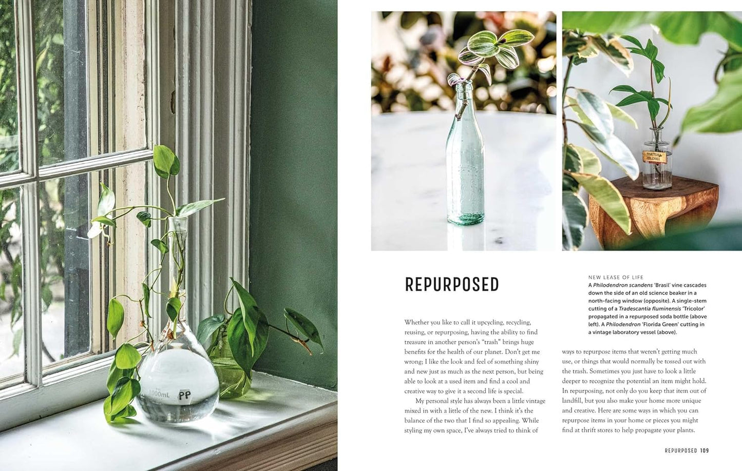 The Propagation Handbook // A Guide to Propagating Houseplants
