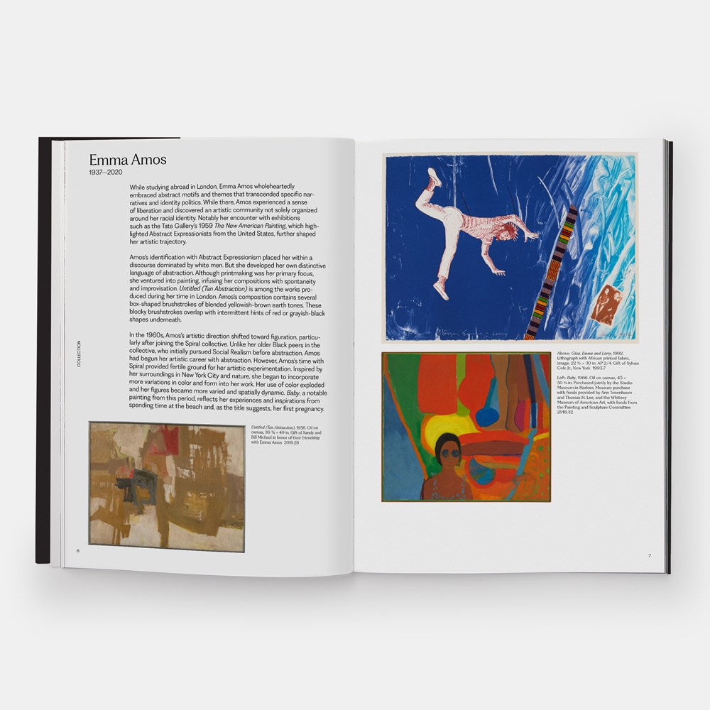Meaning Matter Memory // Selections from the Studio Museum in Harlem Collection (Pre-Order, Oct 8 2025)
