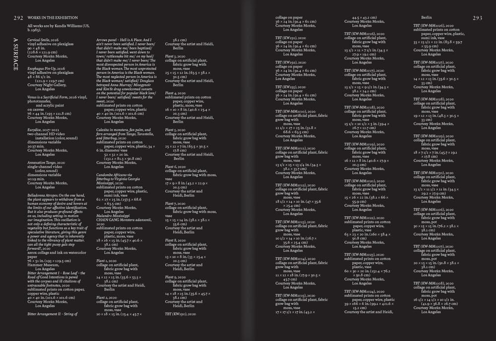 Kandis Williams: A Surface