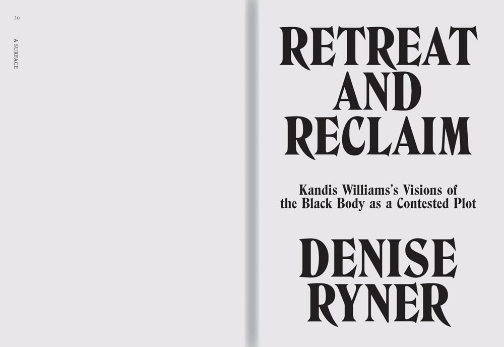 Kandis Williams: A Surface