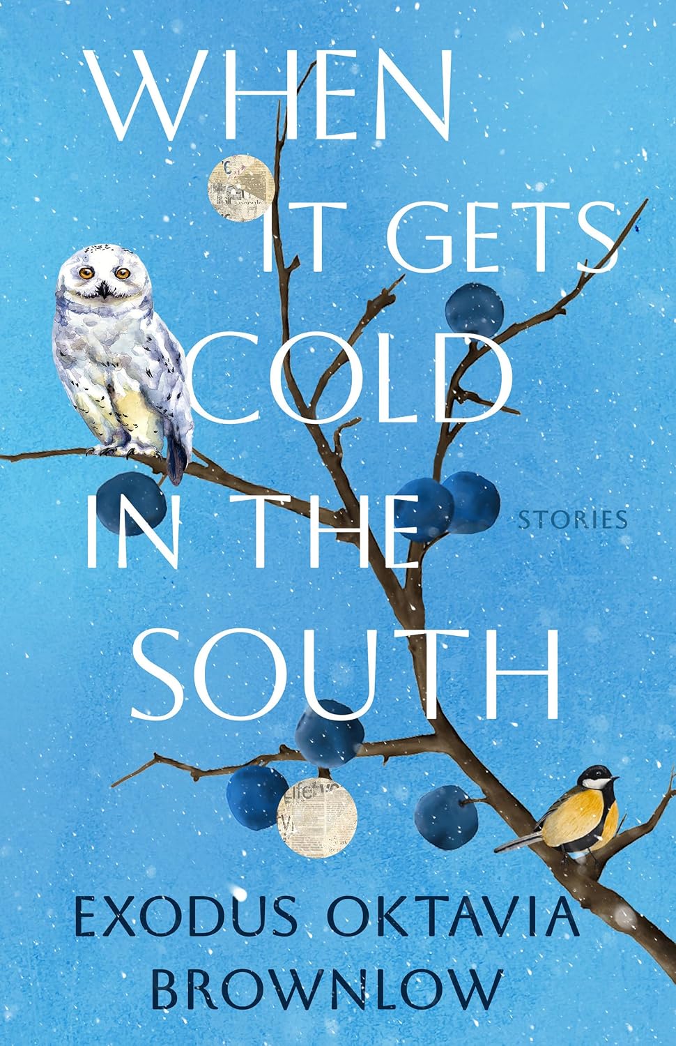 When It Gets Cold in the South // Stories (Pre-Order, Jan 26 2027)