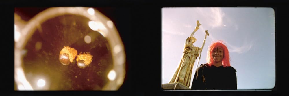 Cauleen Smith: Breaking Cinema // Experimental Film 2010-2023 (Pre-Order, TBD)