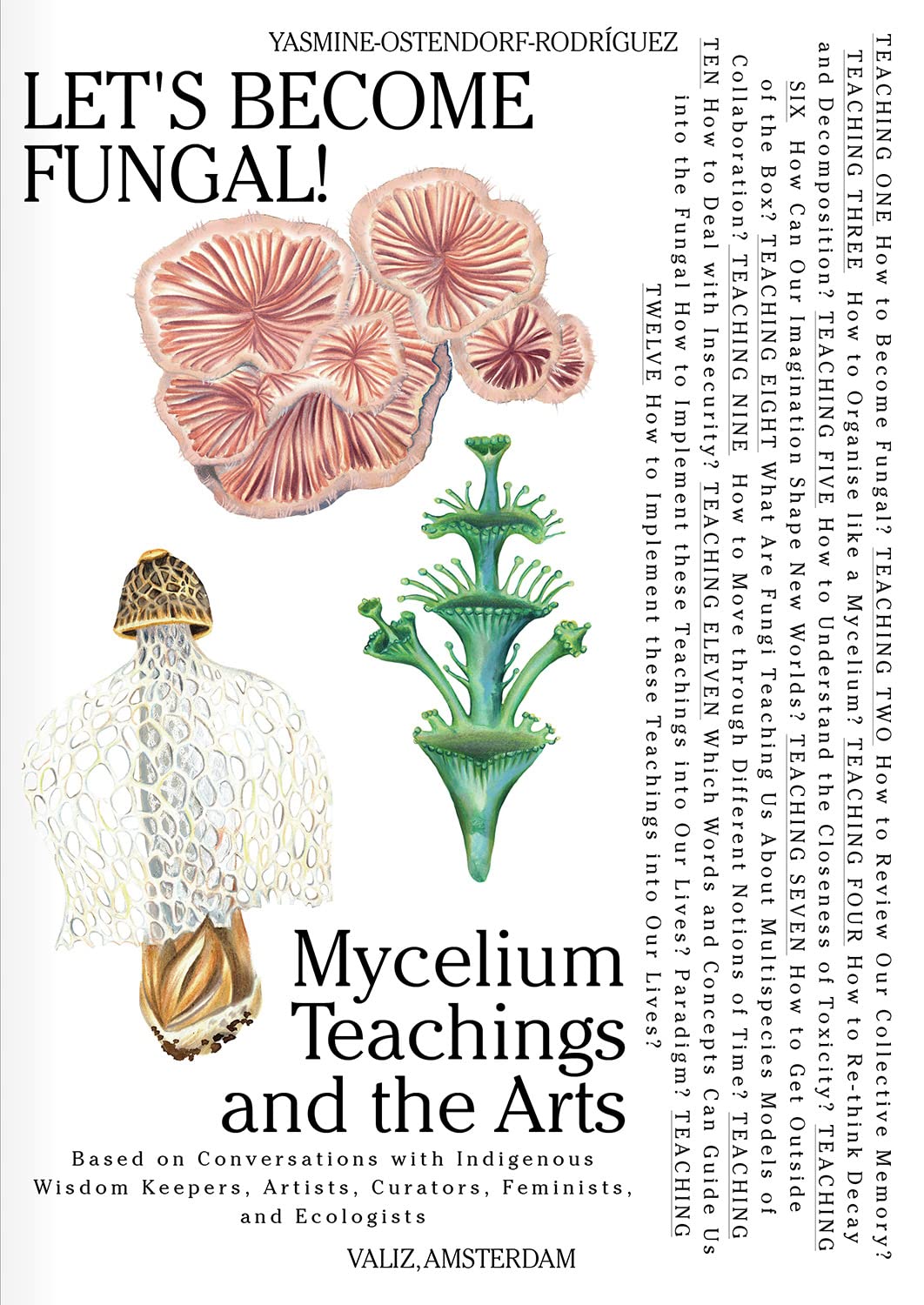 Let's Become Fungal! // Mycelium Teachings and the Arts