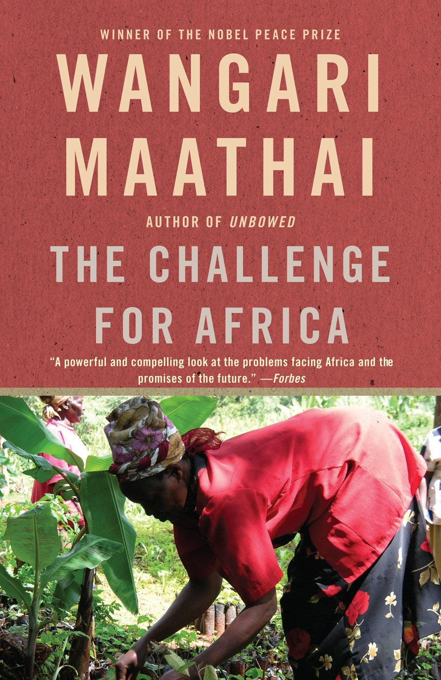 The Struggle for Africa