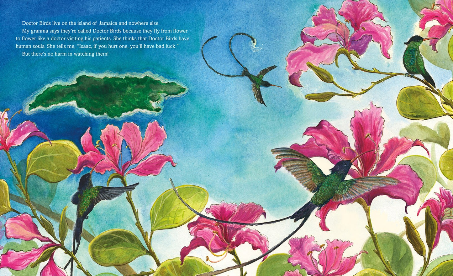 The Doctor Bird // The Expedition in Jamaica That Changed the Course of Natural History (Pre-order, April 27 2027)