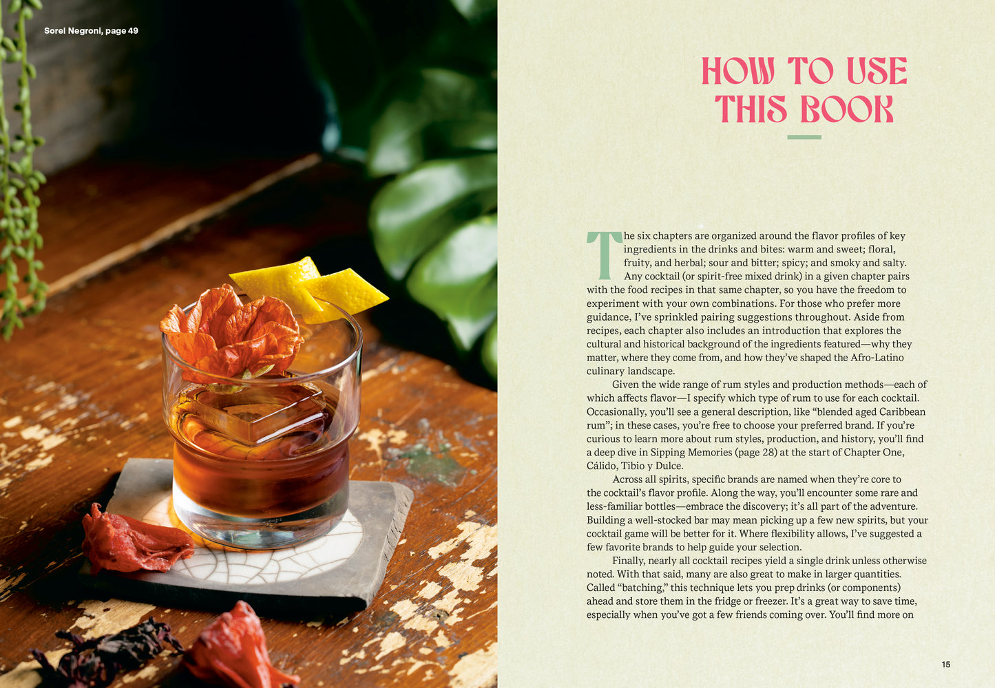 Caribbean Cocktails // Drinks and Bites from the Afro-Latino Diaspora [A Cocktail and Non-Alcoholic Drink Recipe Book] (Pre-order, June 2 2026)