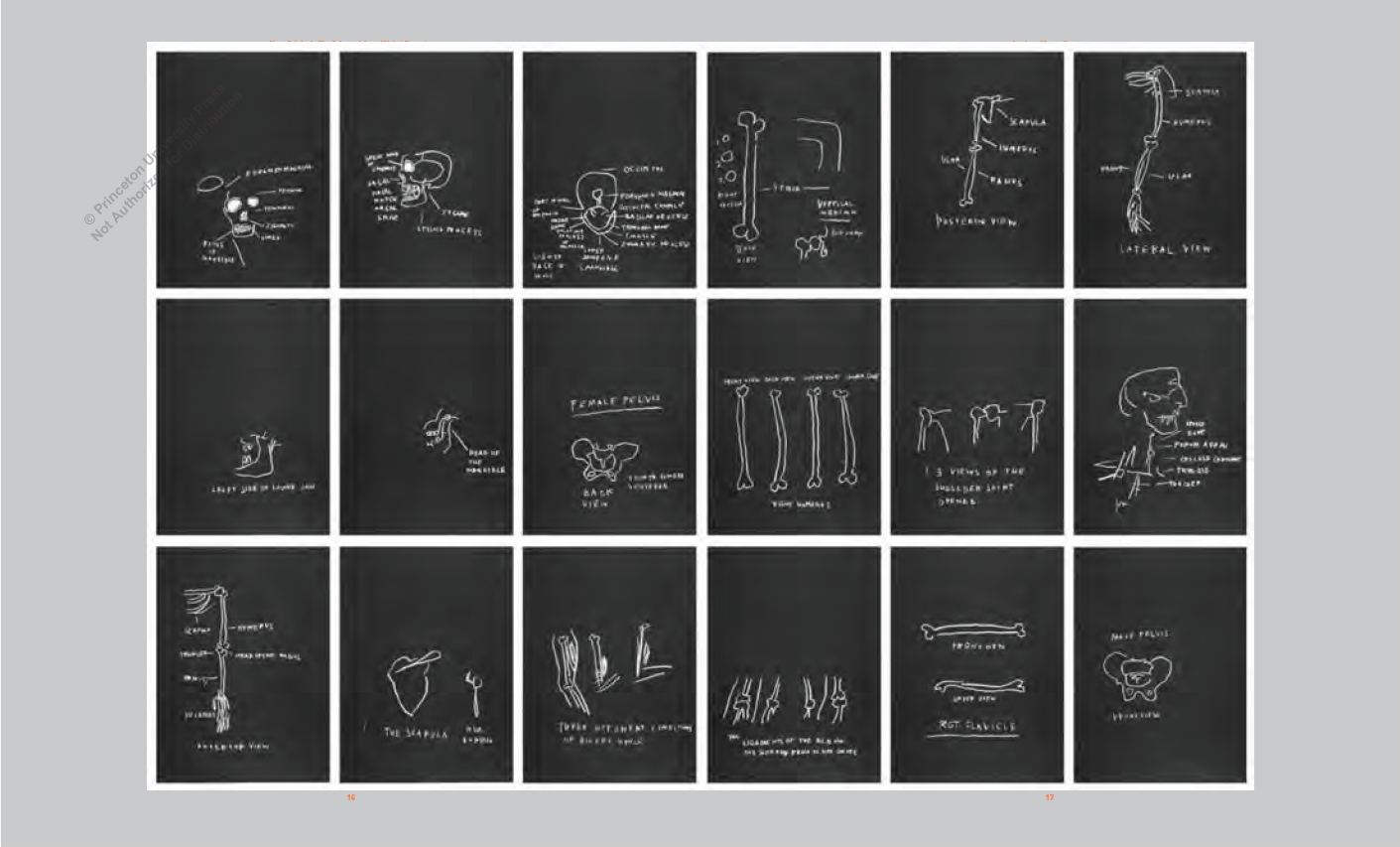 Basquiat, the Blue Ribbon Paintings, and the Art of Reproduction // (Pre-order, Nov 17 2026)