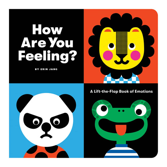 How Are You Feeling Board Book