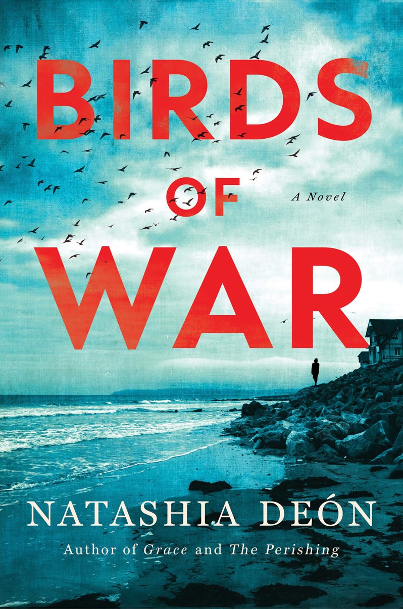 Birds of War // A Novel (Pre-order, Feb 2 2027)