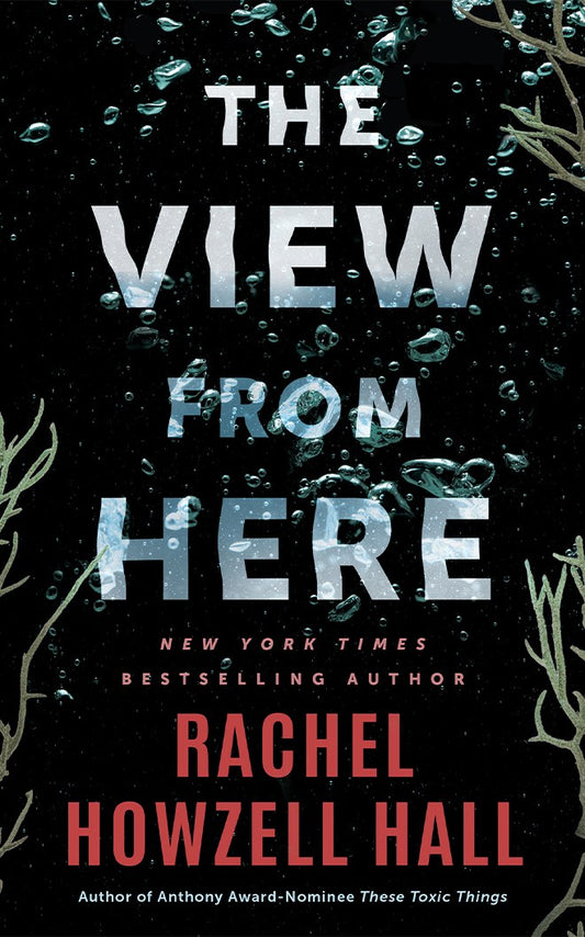 The View from Here // A Thriller (Pre-order, June 23 2026)