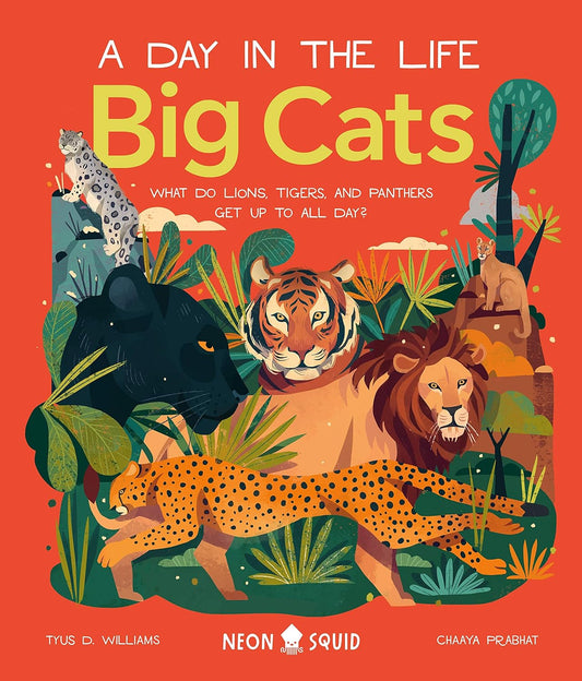 Big Cats (A Day in the Life) // What Do Lions, Tigers, and Panthers Get Up to All Day?