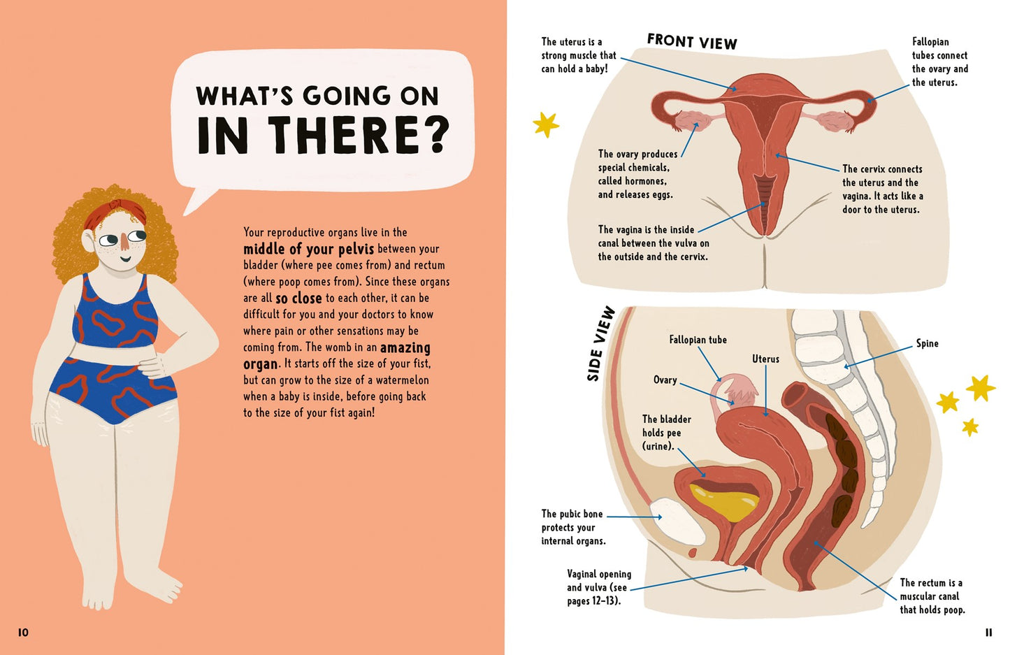 We Need to Talk About Vaginas // An IMPORTANT Book About Vulvas, Periods, Puberty, and Sex!