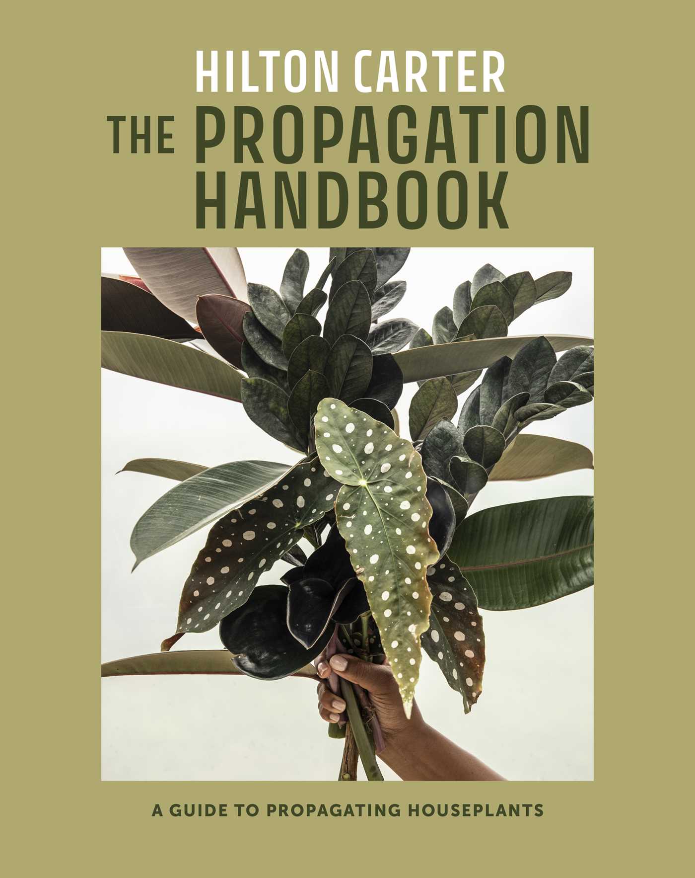 The Propagation Handbook // A Guide to Propagating Houseplants