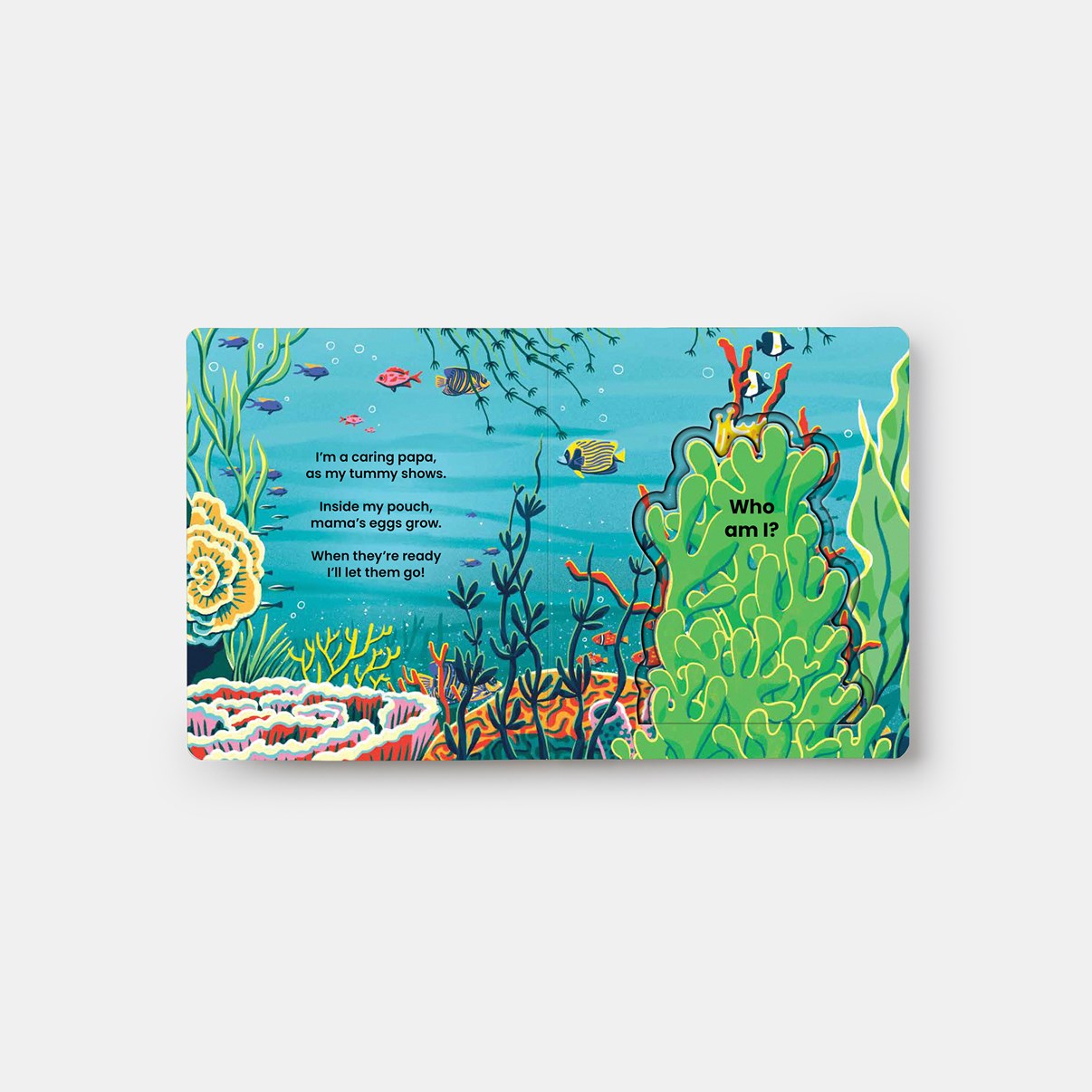 Who's Hiding? Under the Sea // A Lift-The-Flap Book (Pre-order, April 1 2026)