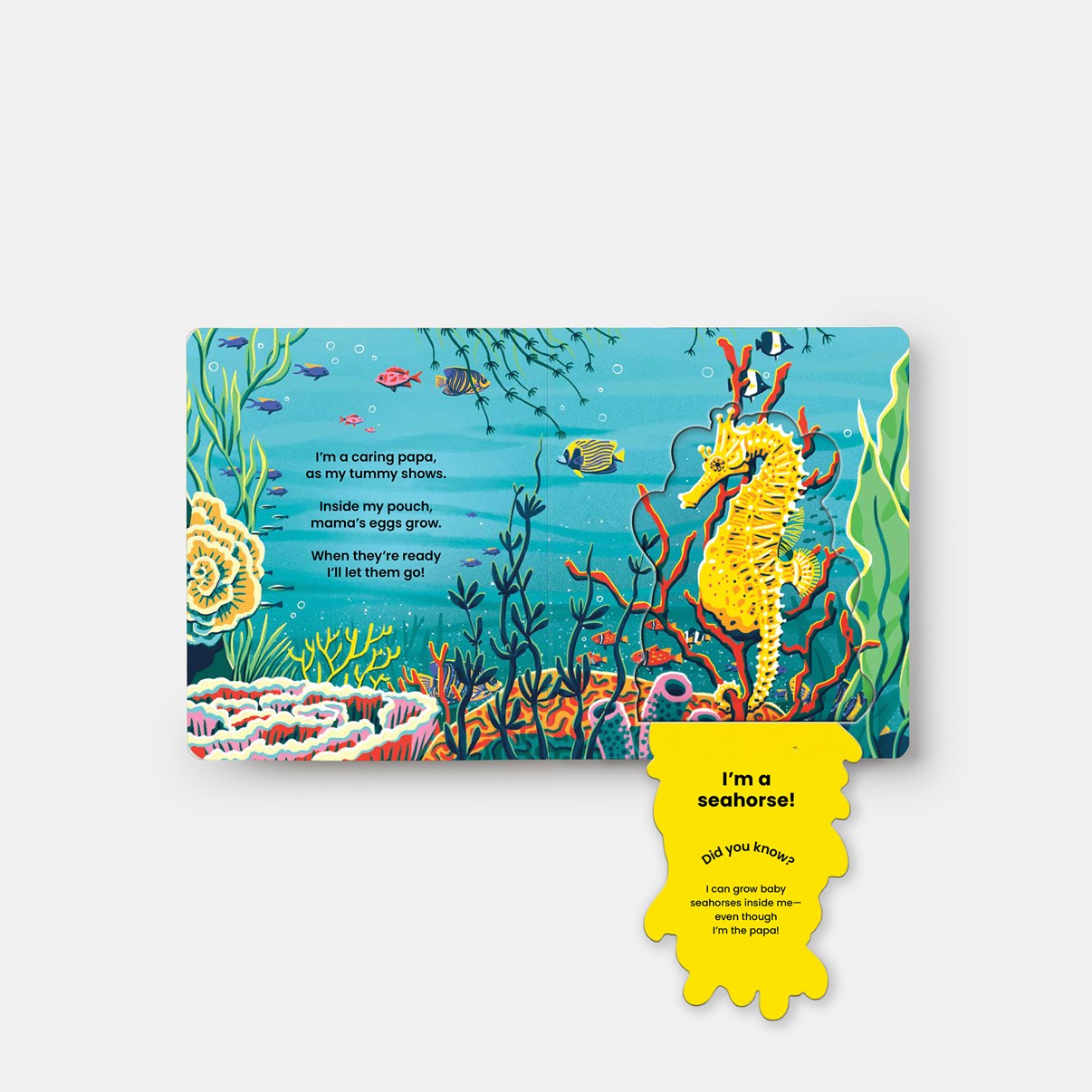 Who's Hiding? Under the Sea // A Lift-The-Flap Book (Pre-order, April 1 2026)