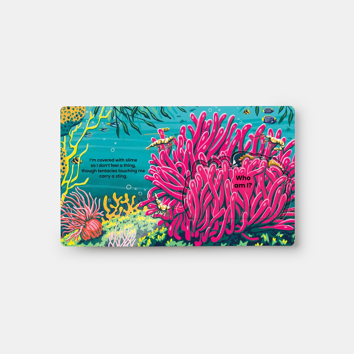 Who's Hiding? Under the Sea // A Lift-The-Flap Book (Pre-order, April 1 2026)