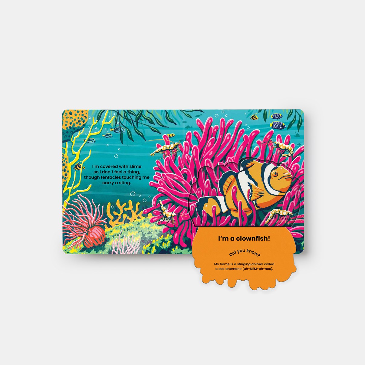 Who's Hiding? Under the Sea // A Lift-The-Flap Book (Pre-order, April 1 2026)