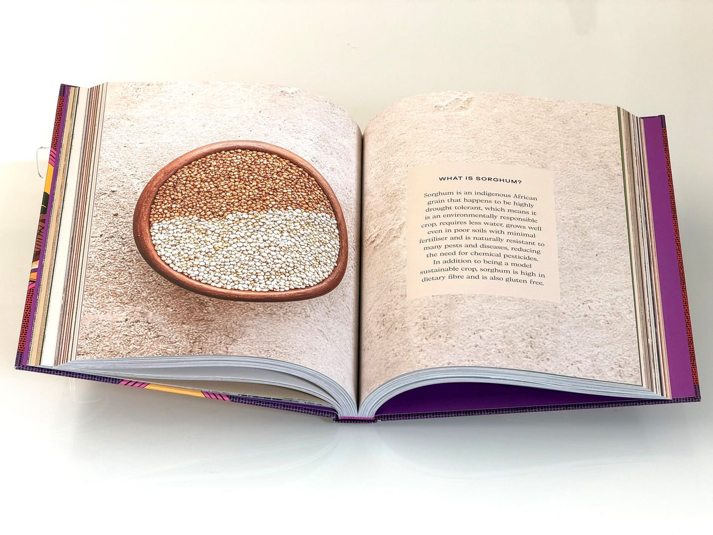 Tamu // A Journey Through Africa's Plant-Based Cuisine