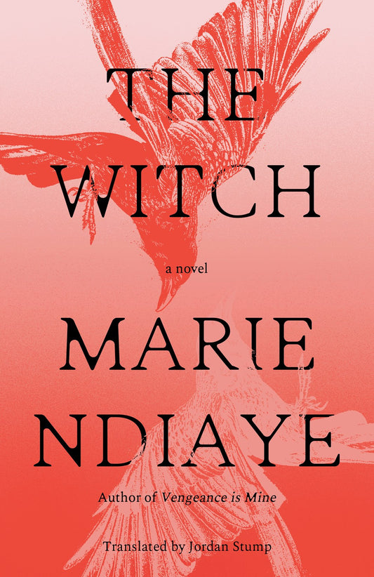 The Witch // A Novel (Pre-order, April 14 2026)