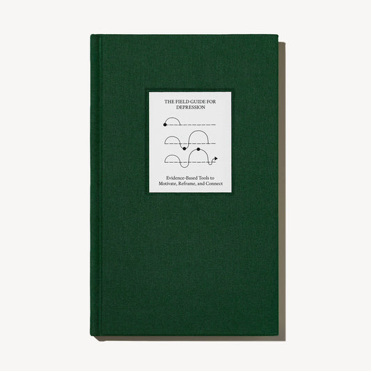 The Field Guide for Depression // Tools to Motivate, Reframe, and Connect