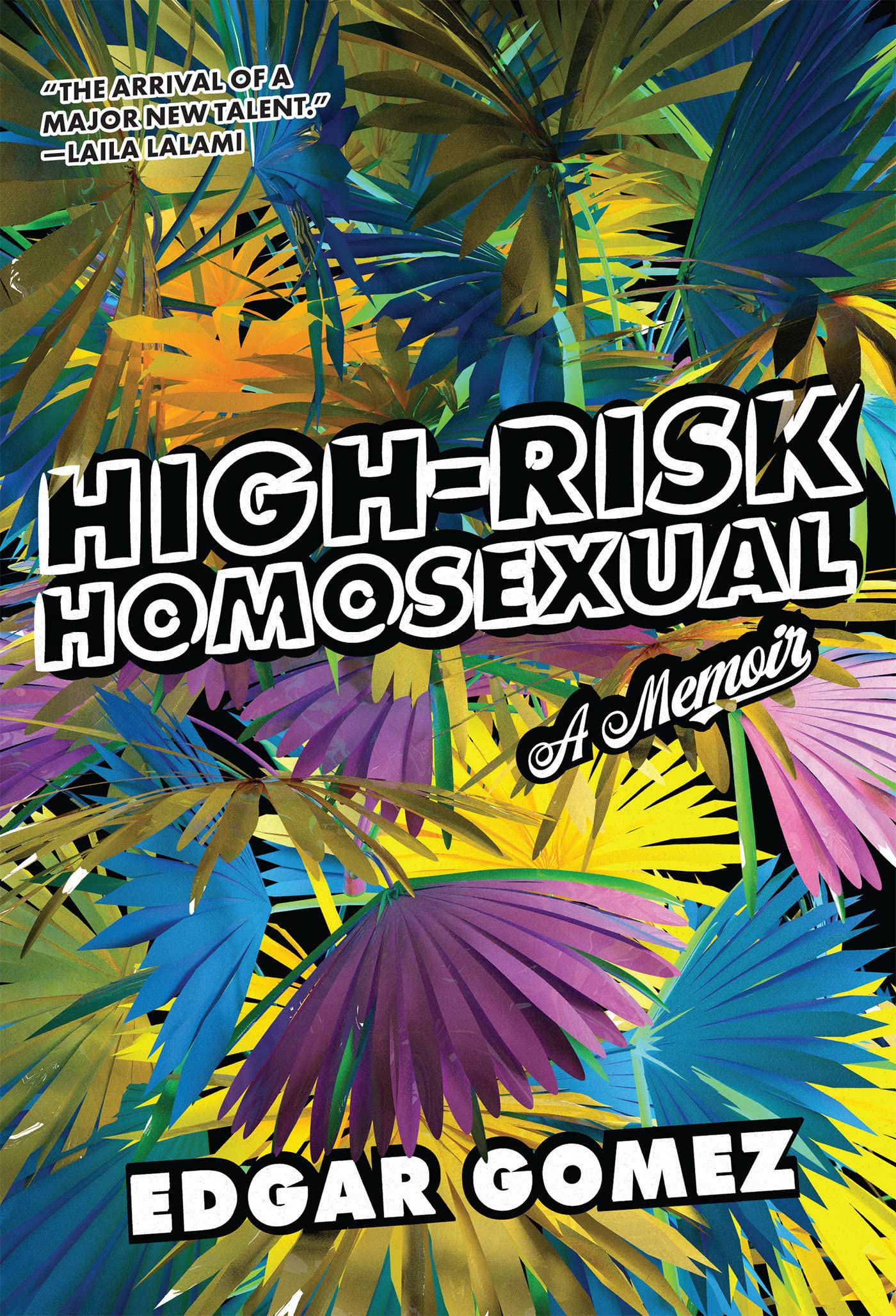 High-Risk Homosexual // A Memoir