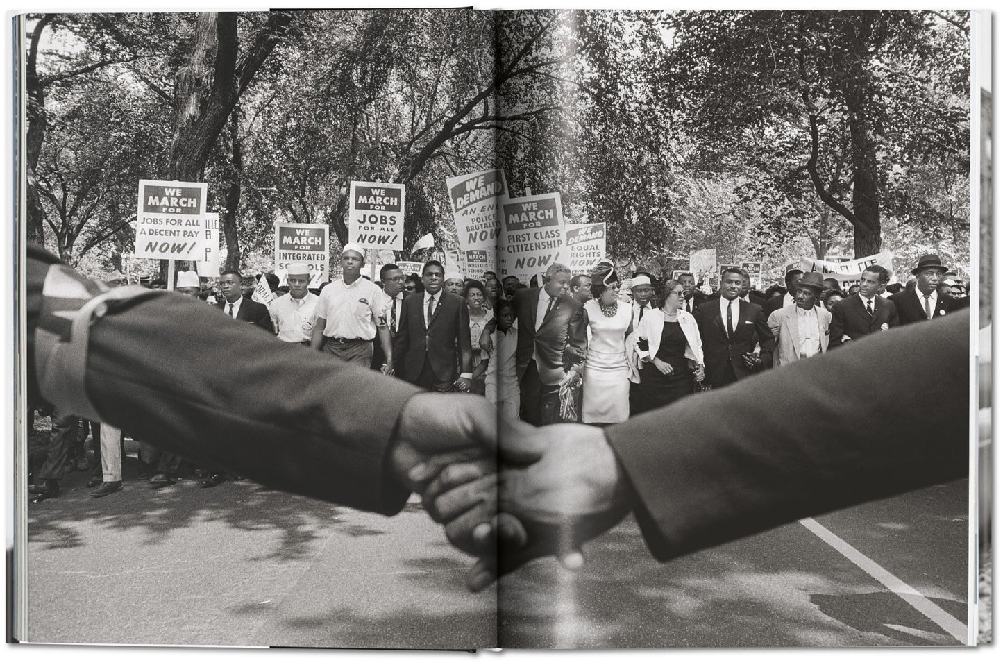 James Baldwin. Steve Schapiro. The Fire Next Time