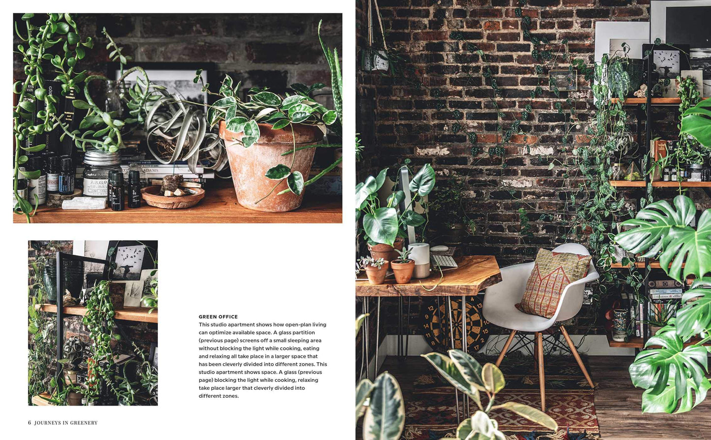 Wild Interiors // Beautiful Plants in Beautiful Spaces